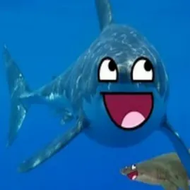 sharky