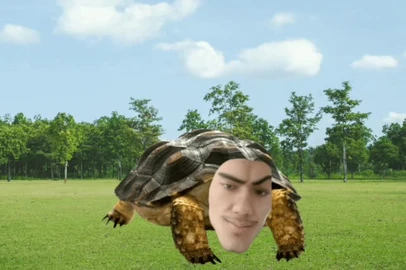 igor Turtle Dançando